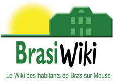 Brasiwiki.jpg