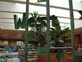 Nord-ouest bibliot bellevue 001.JPG