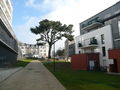 Projet Urbain de l'îlot Foucault - coeur de Saint-Martin (Brest) - Février 2010 - adeupa 6.jpg