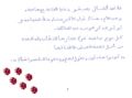 Les lionceaux en arabe page 2.jpg