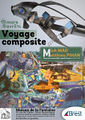 Affiche voyage composite.jpg