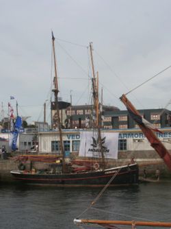 Ammaré au deuxième bassin lors de Brest 2008