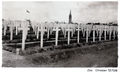 Grippe espagnole - cimetière de Pen ar Vally (Lambézellec).jpg