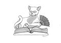Le Chat, animal symbolique du livre. Illustration de couverture de Blequin.jpg