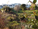 Keruscun - Jardin Jean Le Gall.JPG