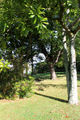 Jardin HIA Brest 15092013 03.jpg