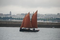 Brest 2008