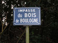 21 Le Bois de Boulogne.jpg